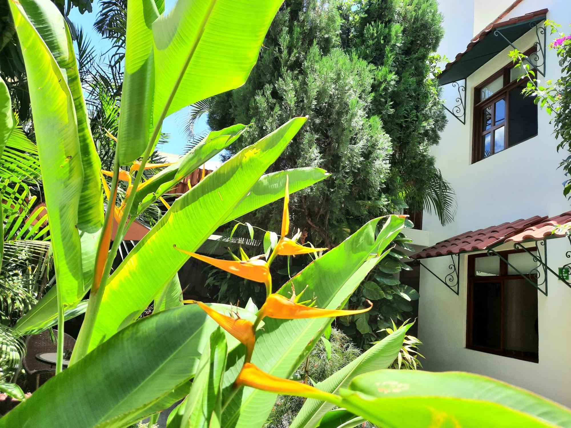 Casa Los Cantaros Hotel Boutique 오아하카주 외부 사진