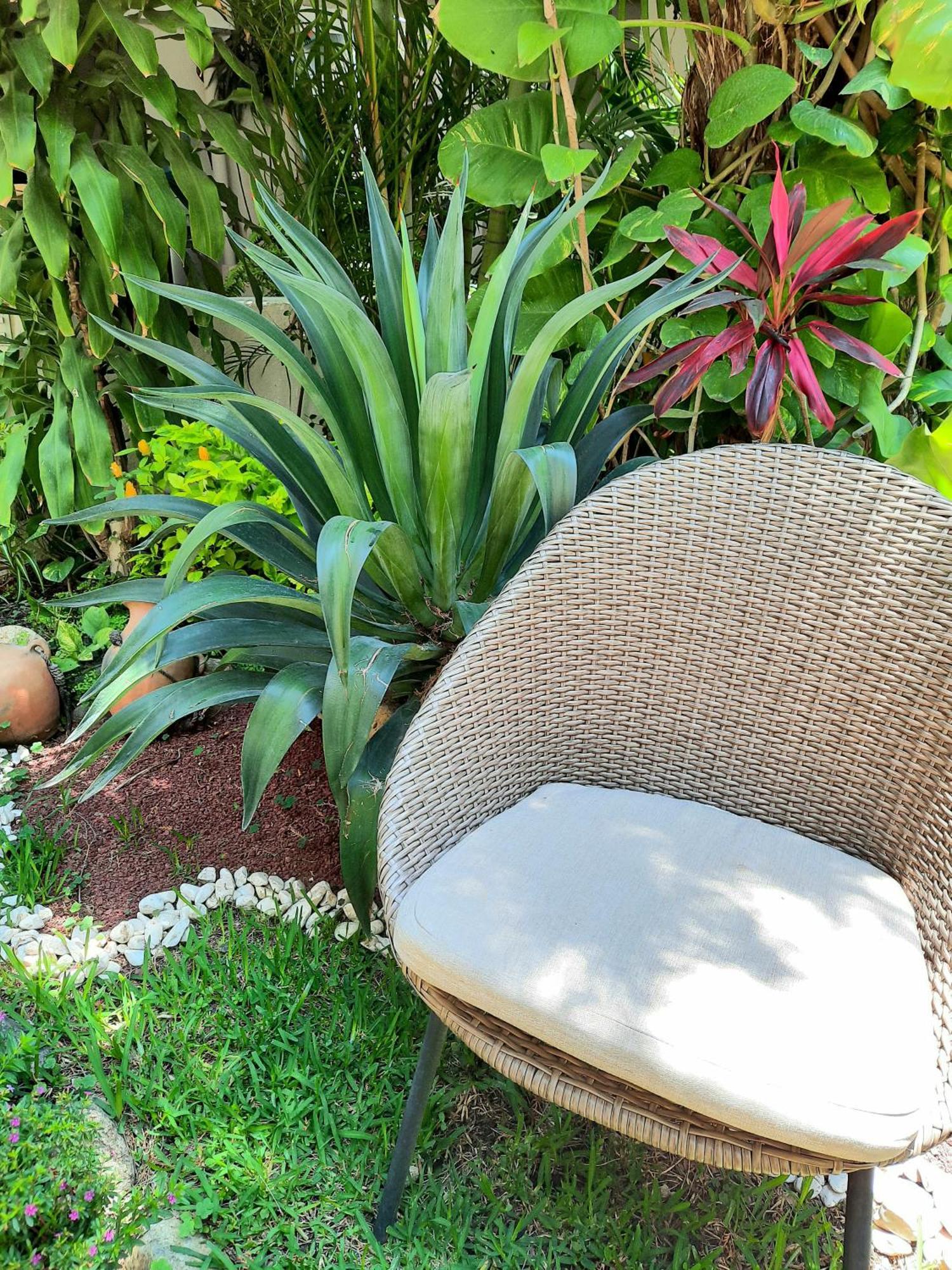 Casa Los Cantaros Hotel Boutique 오아하카주 외부 사진